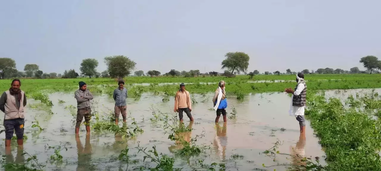 Flood से हुई फसल नुकसान के कारण सरकार देगी 05.93 करोड़ रुपये मुआवजा