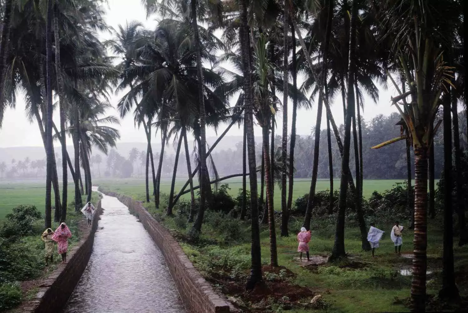 Monsoon यात्रा के अलावा रोमांच में भी आज़माएँ
