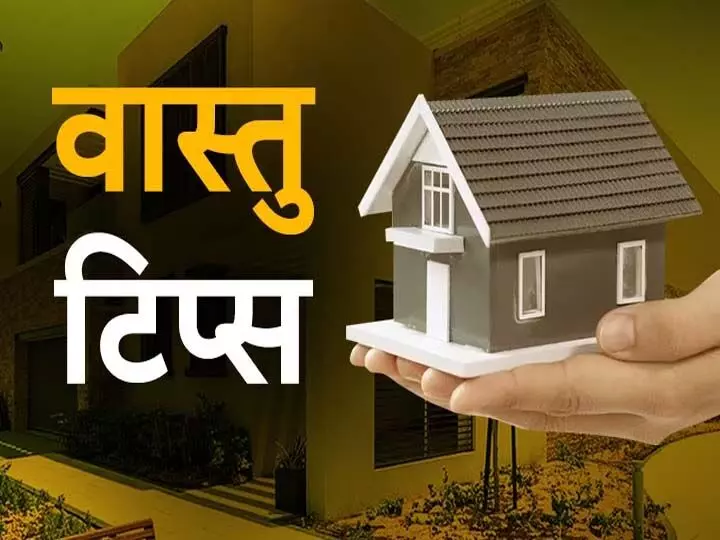 Vastu Tips: घर को सजाने के साथ सकारात्मकता भी लाती है ये चीज