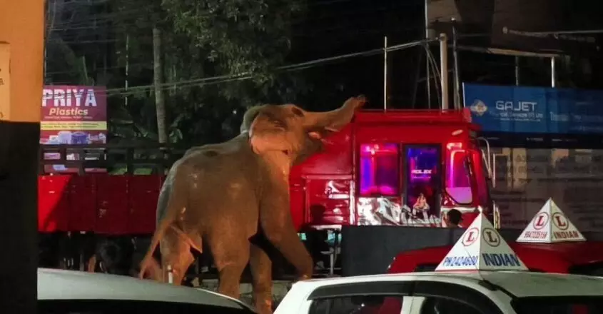 KERALA : स्वराज राउंड पर ट्रैफिक जाम का कारण बनने वाले हाथी ने त्रिशूर में उत्पात मचाया