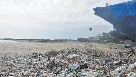 BMC बीएमसी मलाड के 7 समुद्र तटों की सफाई पर रोजाना ₹45,000 खर्च कर रही