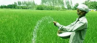 Scientists के सुझाव के अनुसार कृषि में रासायनिक उर्वरकों का प्रयोग