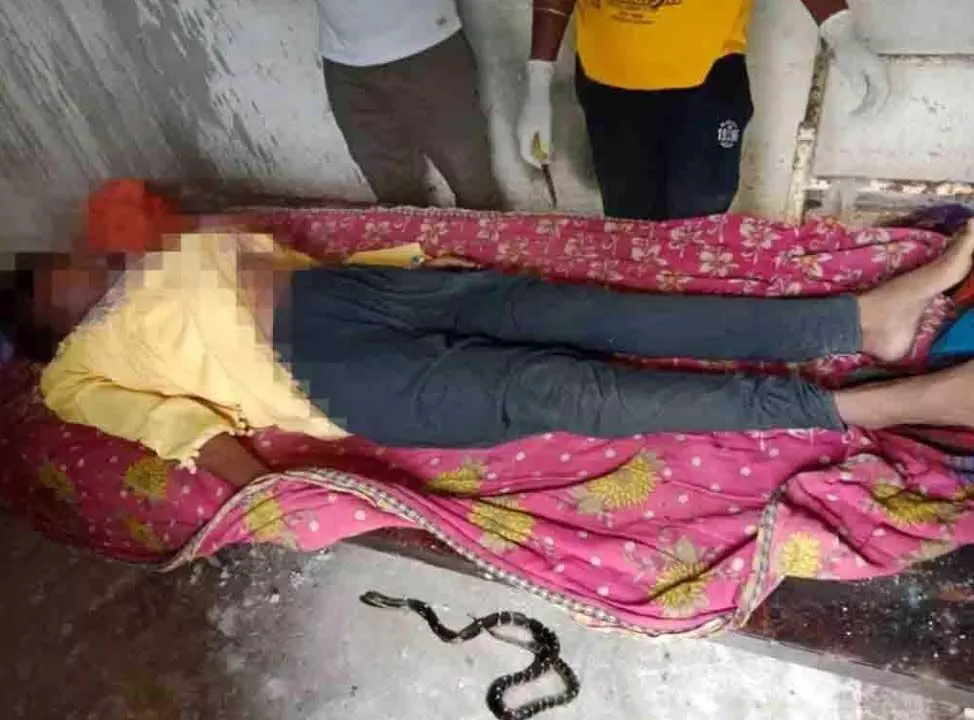 CG NEWS: नाबालिग को सांप ने काटा, इलाज के दौरान मौत