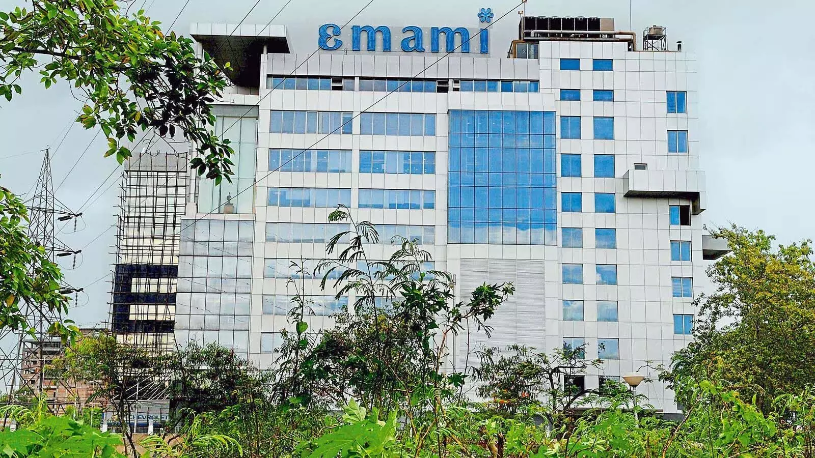 Emami  Q1 परिणाम, घरेलू बाजार में वृद्धि देखी गई