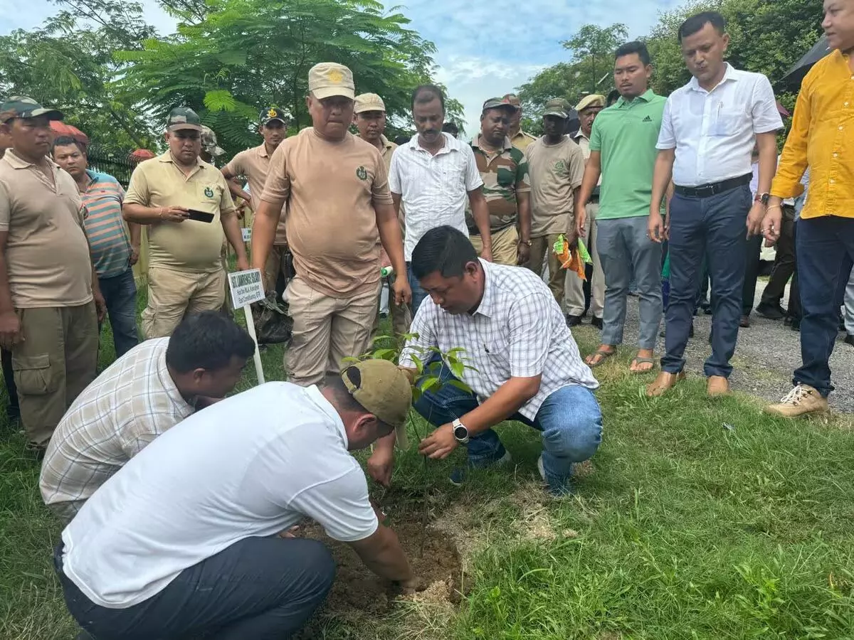 Assam :  राज्यव्यापी लक्ष्यों के साथ एक पेड़ माँ के नाम वृक्षारोपण अभियान शुरू