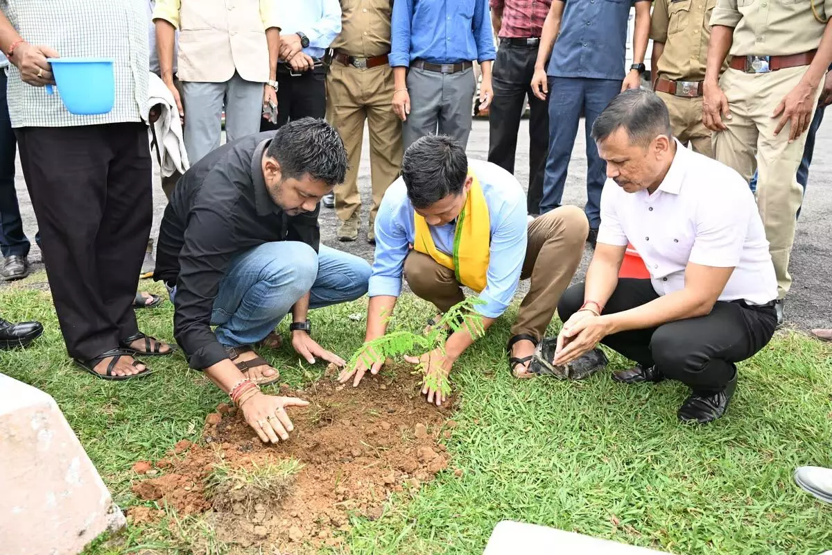 Assam : हाफलोंग में एक पेड़ मां के नाम वृक्षारोपण अभियान शुरू
