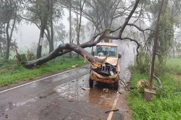 Kiriburu: वर्षा के दौरान चलती कैम्फर पर गिरा पेड़, बाल-बाल बचा चालक
