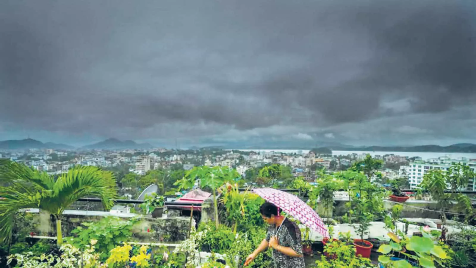 IMD के अनुसार, इस साल अधिकांश राज्यों में सामान्य से कम बारिश