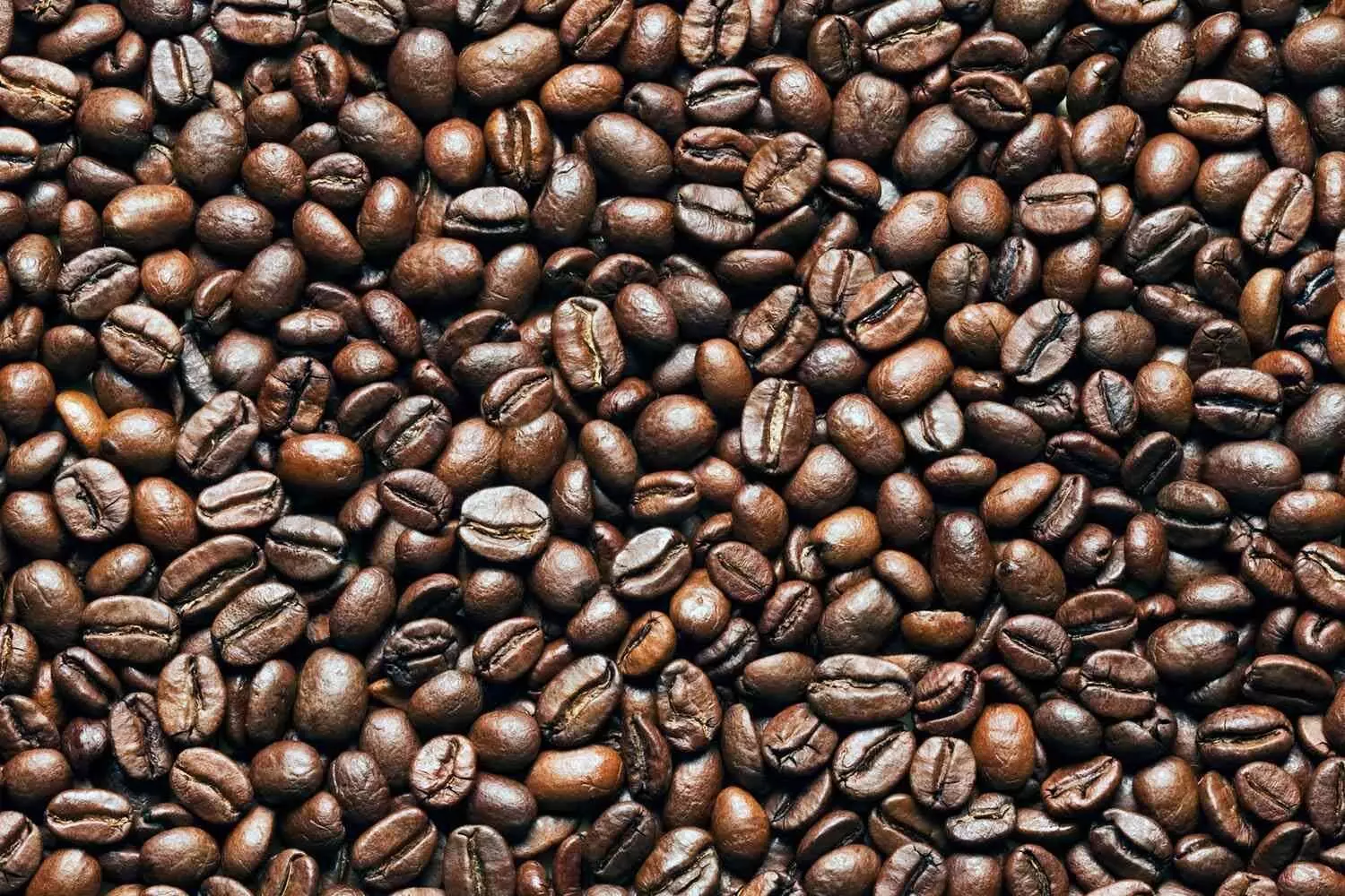 Coffee Beans को लंबे समय तक रखना है फ्रेश रखने के लिए अपनाये ये टिप्स