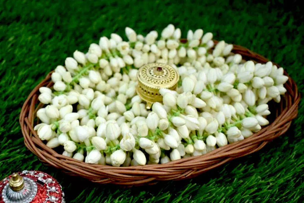 मदुरै में चमेली के फूल की कीमत आसमान छू रही है  800 से 1000 रुपये तक