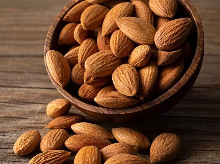 Almond  एक मजबूत सूखा फल जानिए