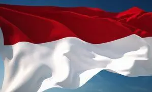 Indonesia ने 100 से अधिक संभावित निकल भंडार स्थलों की पहचान की