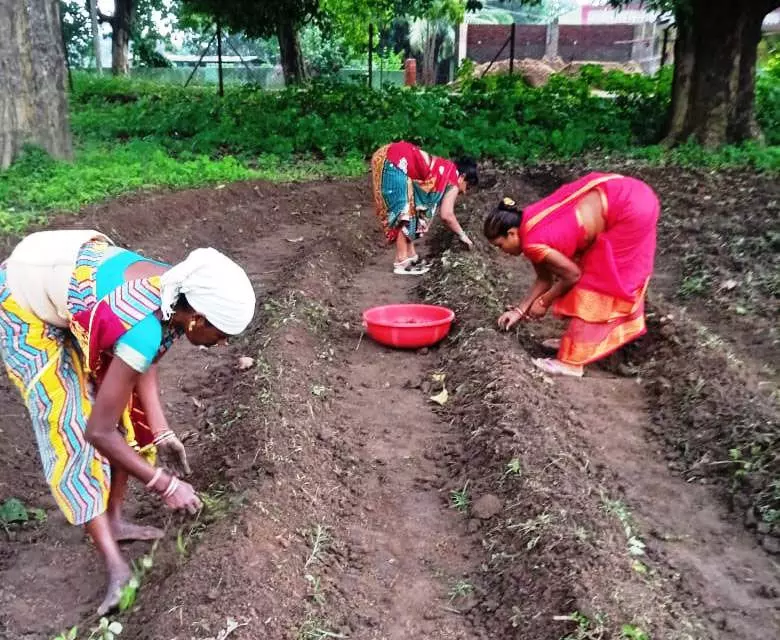 CG NEWS: बिहान समूह की दीदियां हल्दी की खेती की ओर बढ़ रही आगे