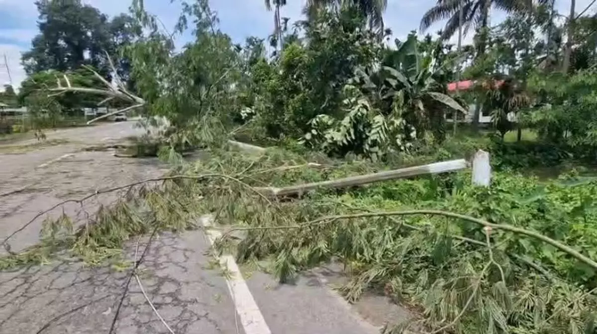 Assam : तूफान से पेड़ उखड़ गए, जमुगुरीहाट में व्यवधान पैदा हुआ