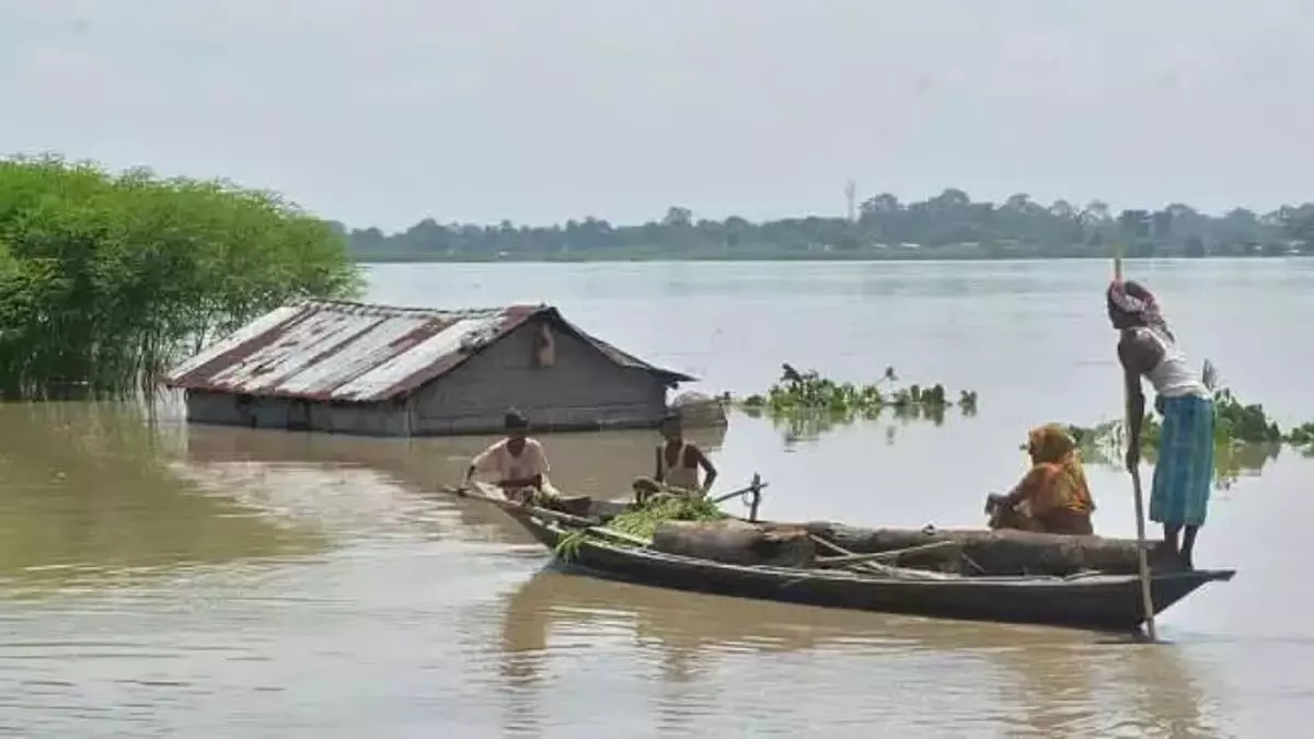 Assam: केंद्र की रिपोर्ट के अनुसार, महज चार साल में 880 लोगों की जान चली गई