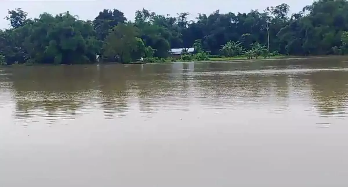 Assam में बाढ़ से चार साल में 880 लोगों की मौत