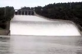 Punjab: खतरे के निशान पर Pong Dam, सहमे लोग