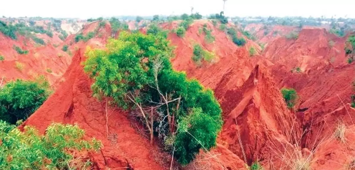 Andhra : विशाखापत्तनम के एर्रा मट्टी डिब्बालू में भूमि भराव के लिए खान एवं भूविज्ञान विभाग ने बीएमएसीबीएस को नोटिस जारी किया