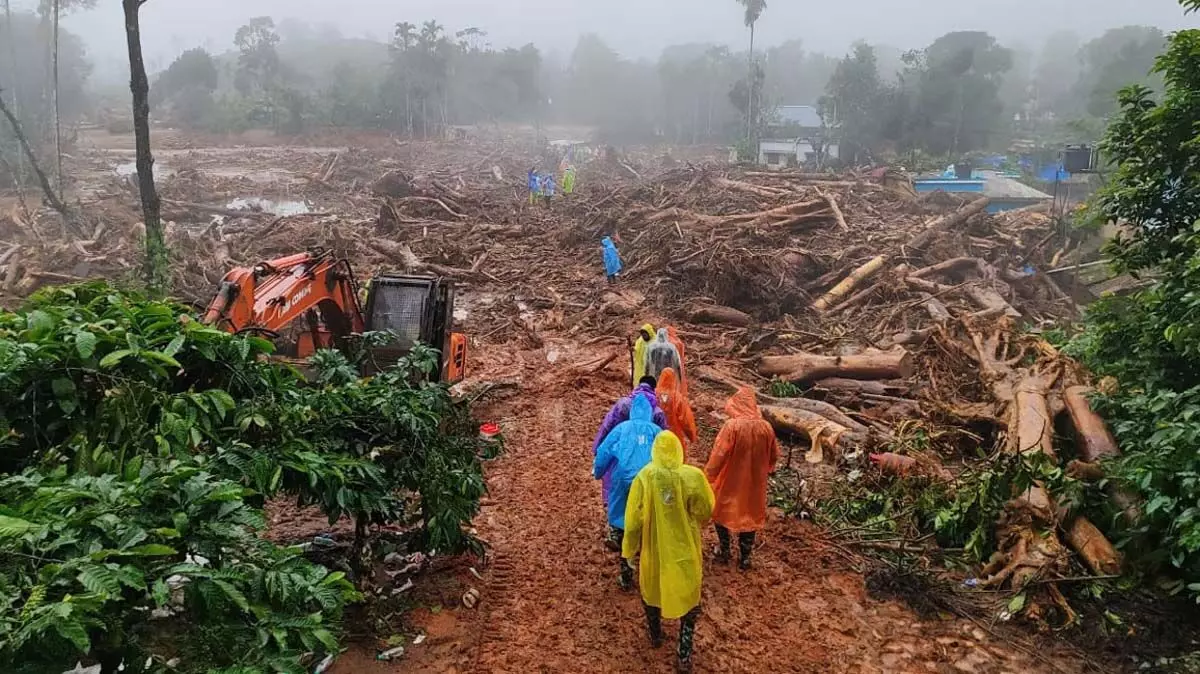 Wayanad landslide : पश्चिमी घाट की पहाड़ी ढलानों में शोषणकारी विकास को लेकर एनजीटी ने केरल और तमिलनाडु सरकार को नोटिस जारी किया