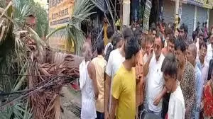 Nalanda: दर्दनाक हादसा, बाजार जा रहे बाइक सवार 2 युवकों पर गिरा पेड़