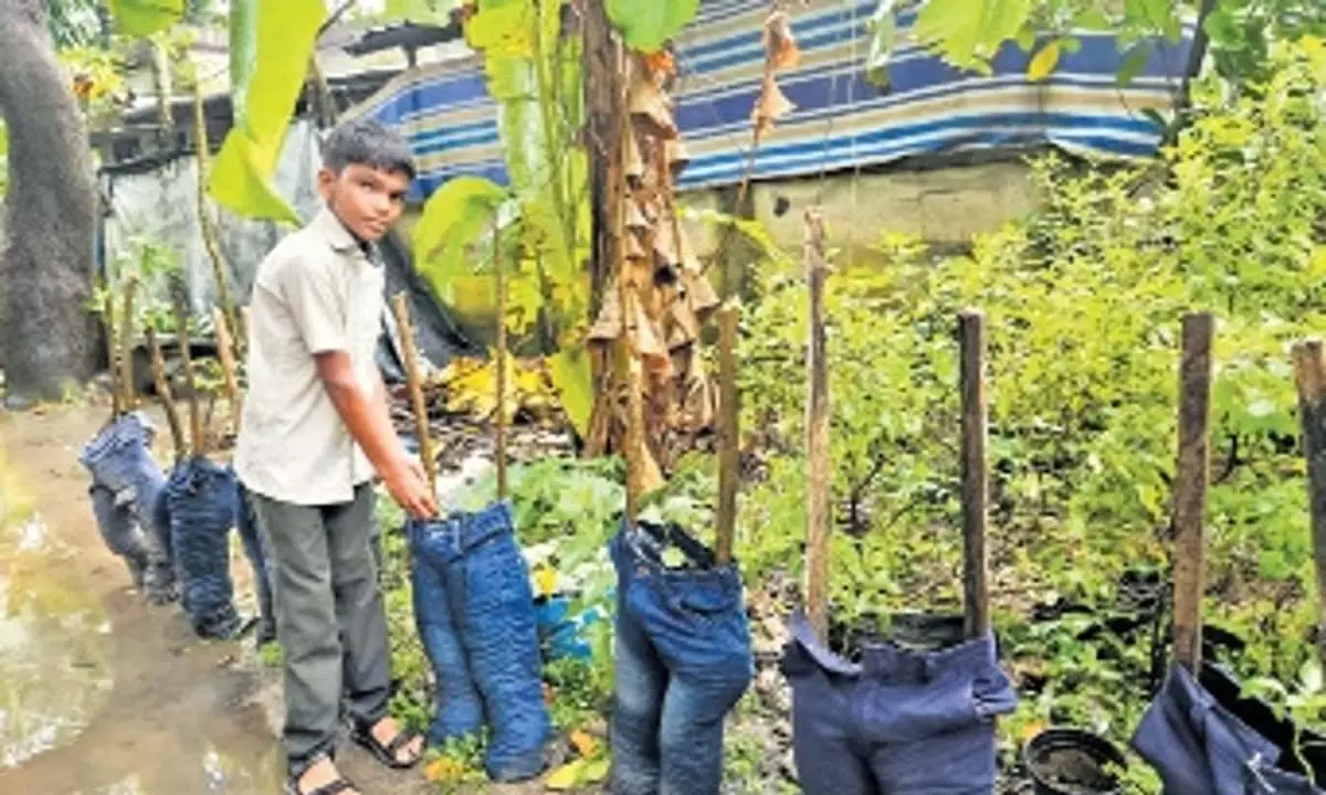Kerala: लड़के ने पुरानी जींस का इस्तेमाल कर खेती की नई तकनीक सीखी