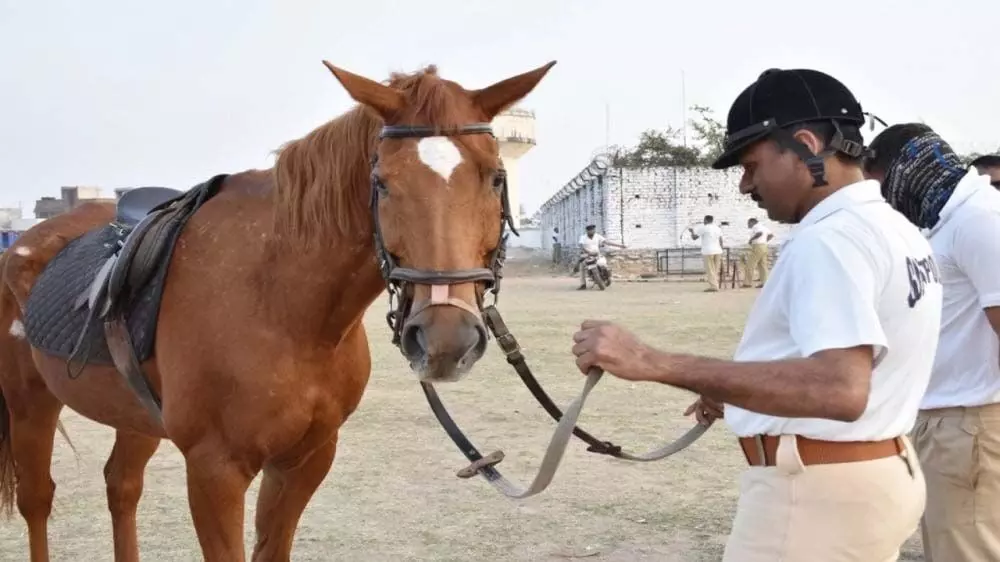 Gujarat : सूरत में स्थानीय पुलिस के साथ भीड़-भाड़ वाले इलाकों में घुड़सवार सेना की एक इकाई ड्यूटी पर रहेगी