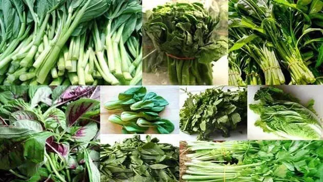 Saavan में हरी पत्तेदार सब्जियों से दूर रहने के लिए कहा ?