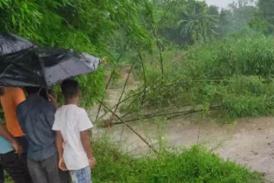 पहाड़ों पर भूस्खलन, गंगा उफान पर, Bengal में मानसून ने पेड़ों और घरों को तबाह कर दिया