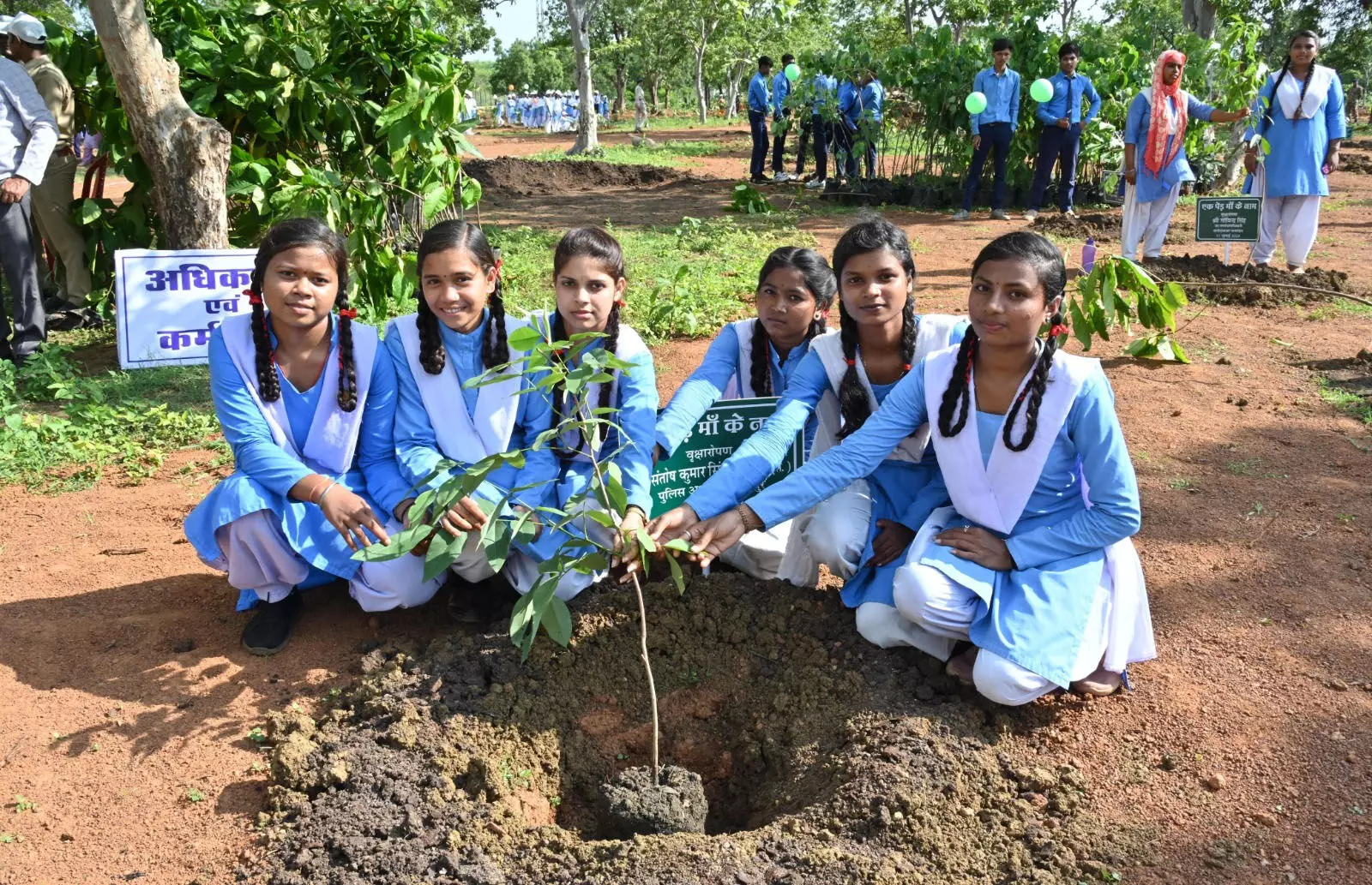 आइए इस हरेली धरती माँ का श्रृंगार करें, एक पेड़ मां के नाम लगाएं