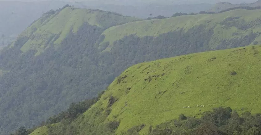 KERALA : वायनाड भूस्खलन के बाद केंद्र ने नया ईएसए मसौदा जारी किया