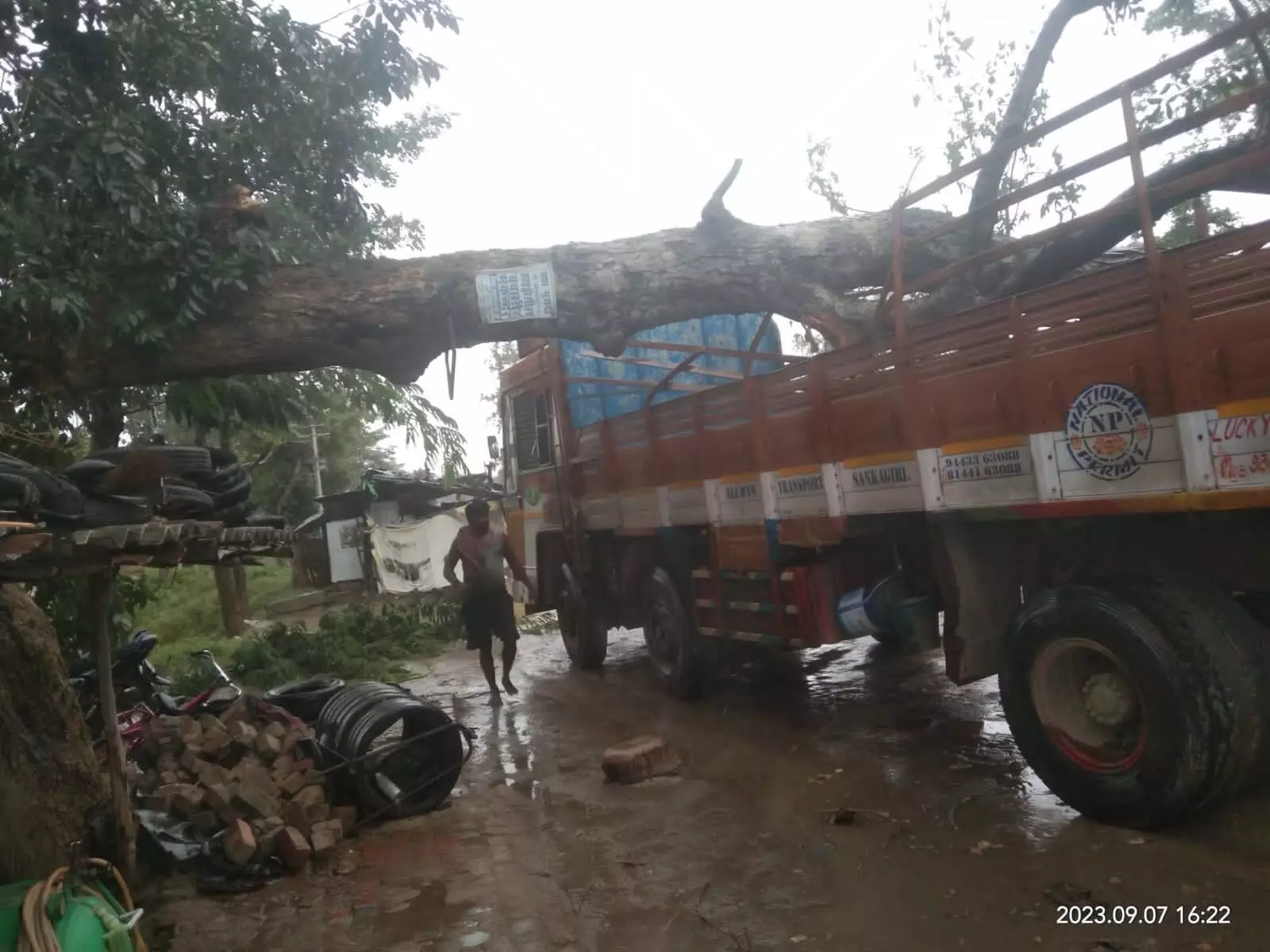 Dhanbad: ट्रक पर गिरा पेड़, बाल-बाल बचे चालक-खलासी