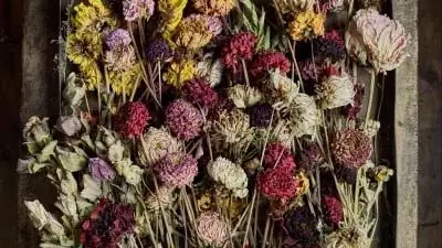 Vastu Tips: घर में कभी भी नहीं रखनी चाहिए ऐसे फूल