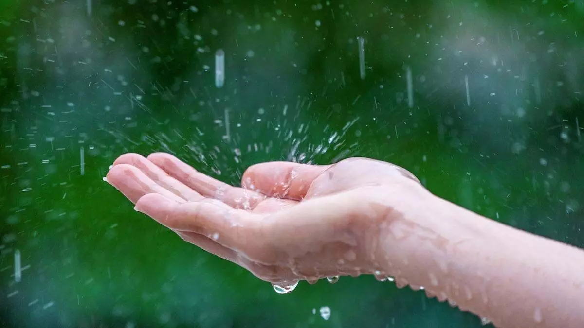Vastu Shastra: बारिश का पानी लाता है रिश्तो में मिठास, जाने कैसे