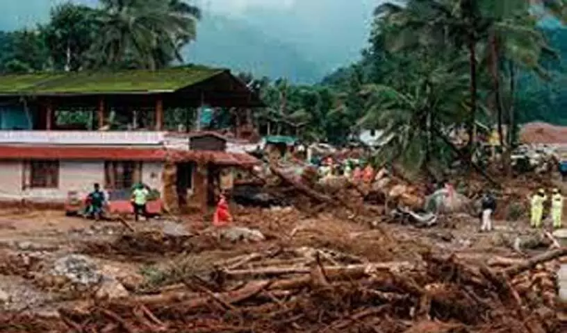 Wayanad भूस्खलन से बचे लोगों का कहना है कि परित्यक्त घरों को जा रहा लूटा