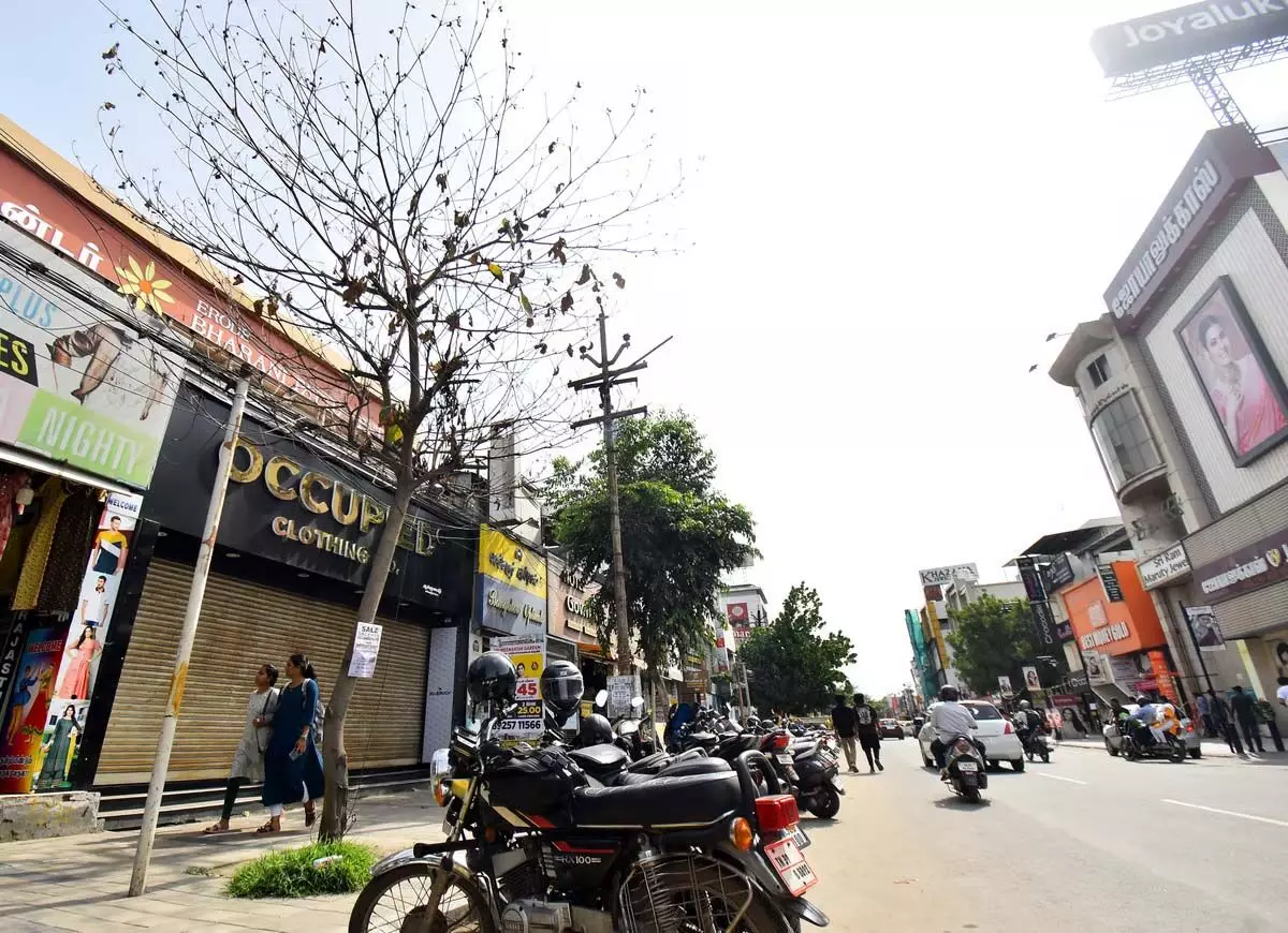Tamil Nadu : कार्यकर्ता ने कहा, कोयंबटूर में क्रॉस कट रोड पर दुकानदारों ने पेड़ों पर तेजाब डाला