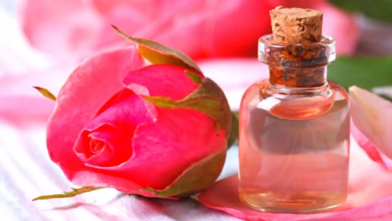 Rose water घर पर भी तैयार किया जा सकता इसकी विधि बहुत सरल