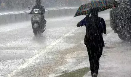 Weather: कई जिलों में हो रही झमाझम बारिश, 12 जिलों में रेड अलर्ट