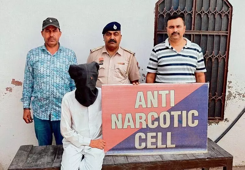 Haryana : पिछले महीने क्षेत्र में 28 ड्रग मामलों में 54 गिरफ्तार