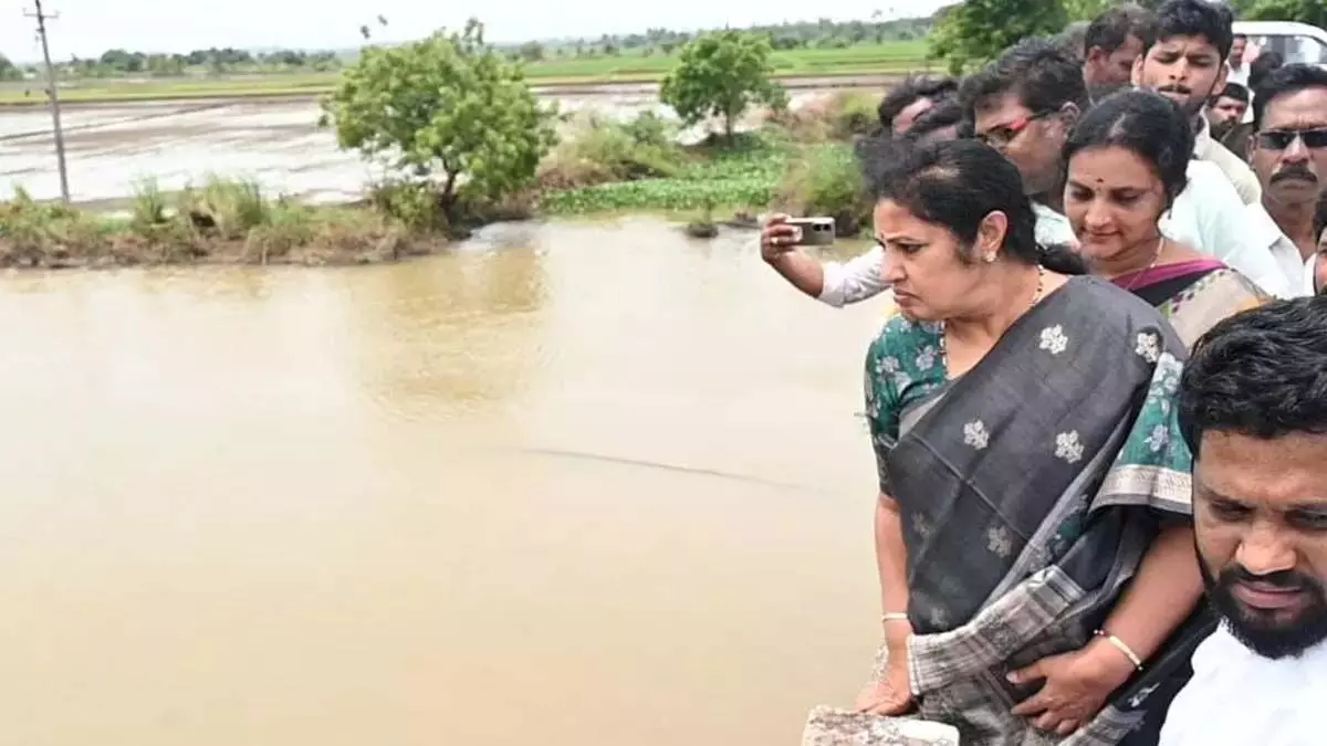 Purandeswari: बाढ़ को रोकने के लिए जल्द ही स्थायी उपाय किए जाएंगे