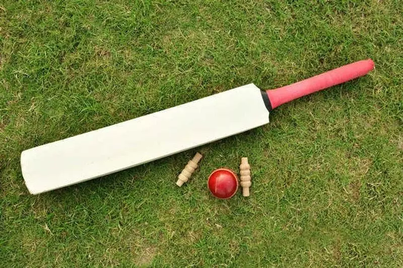 Chandigarh: नीरज ने गली क्रिकेट में दूसरा शतक लगाया