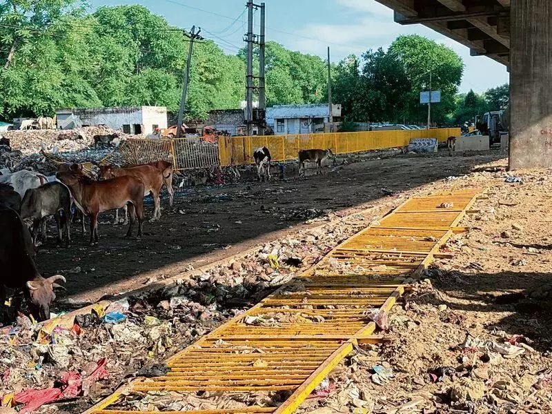 Delhi-Mumbai राजमार्ग पर अतिक्रमण और कचरा डंपिंग के खिलाफ कार्रवाई