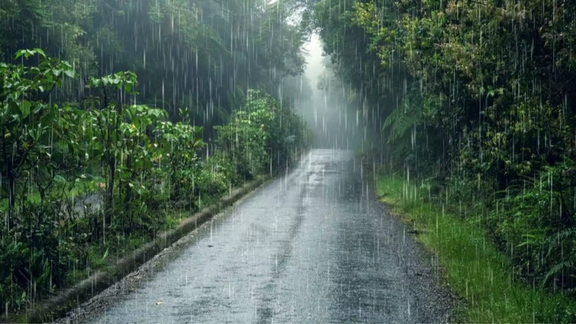 Bengaluru monsoon: IMD ने गार्डन सिटी में भारी से बहुत भारी बारिश की भविष्यवाणी की