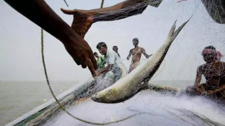 Gujarat govt ने अरब सागर में मछली पकड़ने पर प्रतिबंध 15 अगस्त तक बढ़ाया