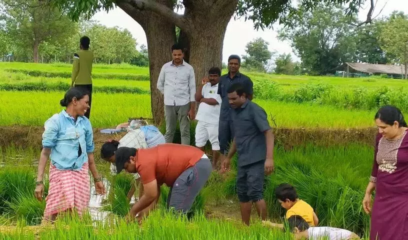 Medak कलेक्टर राहुल राज ने धान रोपाई में भाग लिया