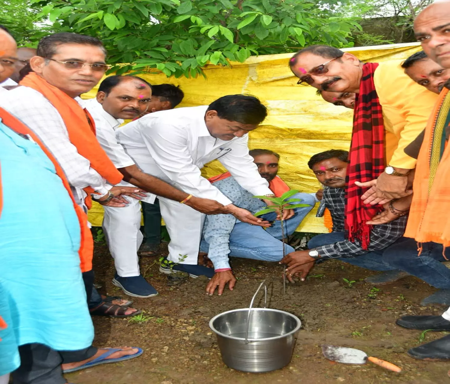 Food Minister दयालदास बघेल ने ग्राम गोढ़ी कला में पौधरोपण किया