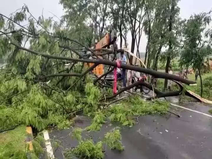 Nirankal में खंभा गिरने से यातायात प्रभावित