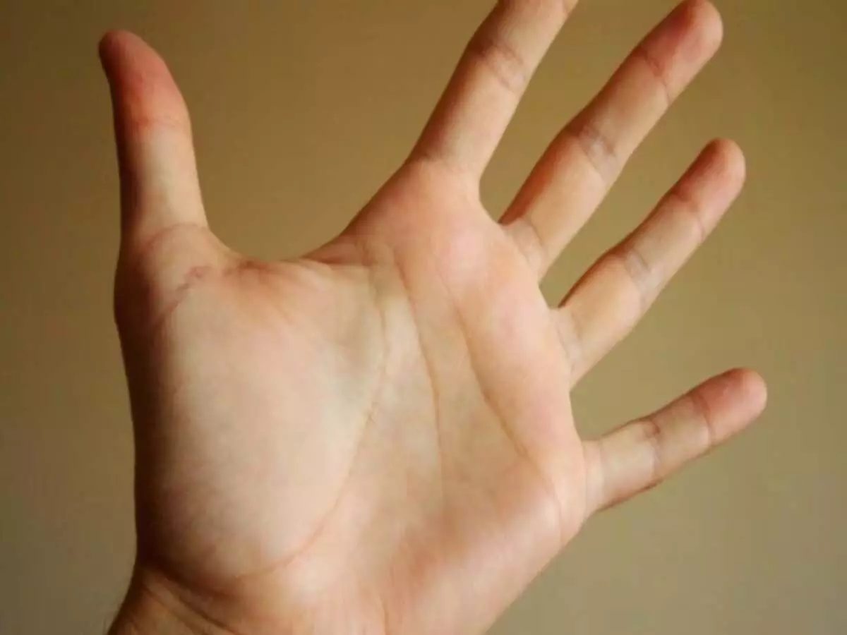 Palmistry: हथेली में होती है यह रेखा, बनता है धनयोग