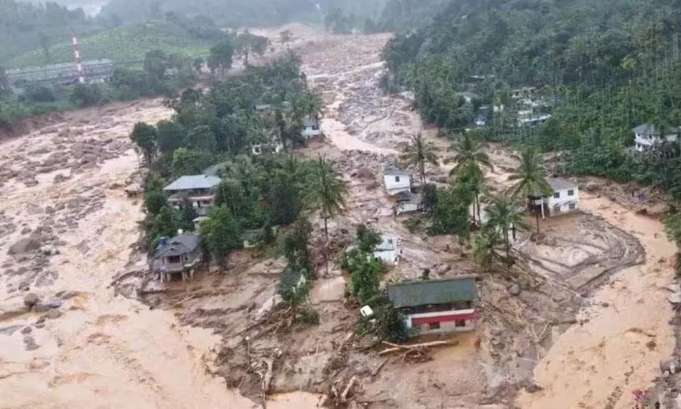 Wayanad भूस्खलन प्रभावित पालतू जानवर नहीं छोड़ रहे स्थान