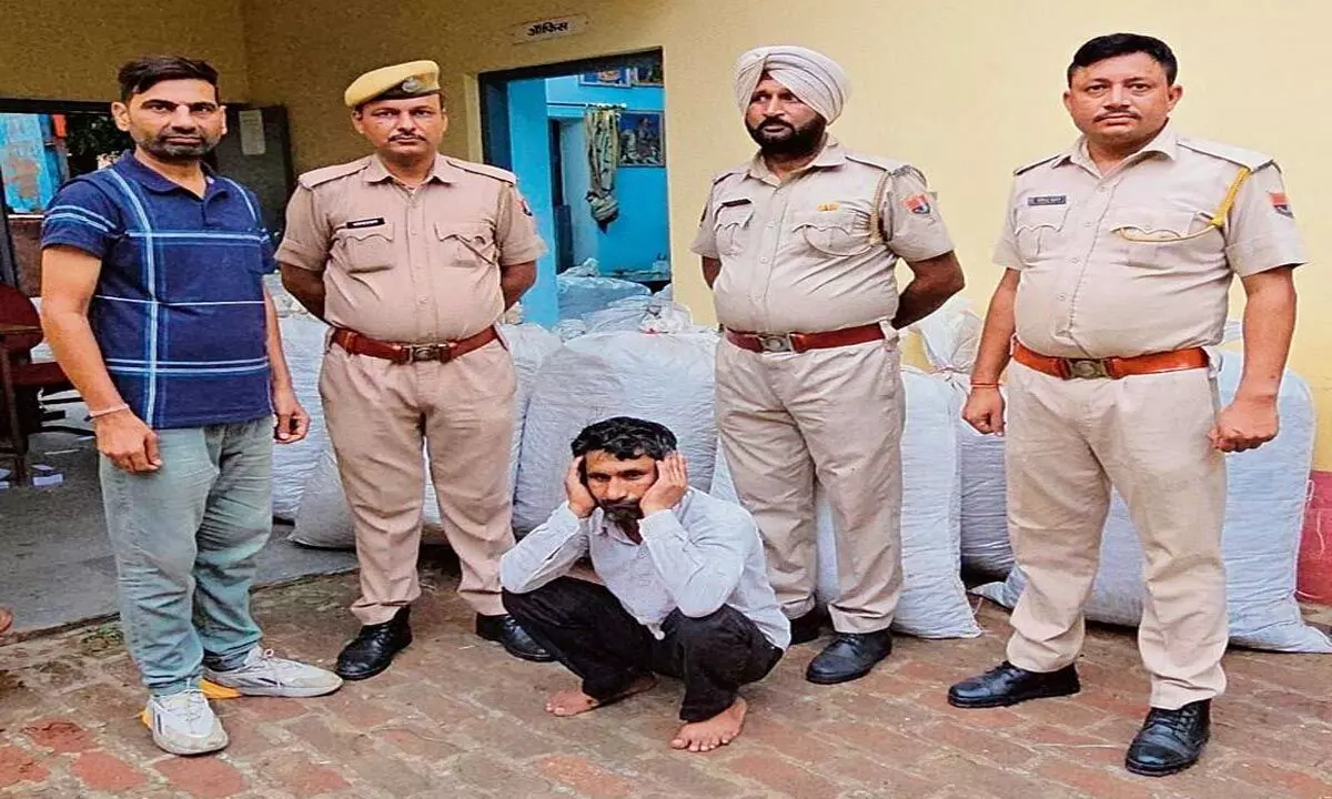 Punjab: 10 क्विंटल चूरापोस्त के साथ ट्रक चालक गिरफ्तार