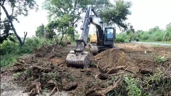 UP government: सड़क परियोजना के लिए पेड़ों की कटाई का क्षेत्र कम किया